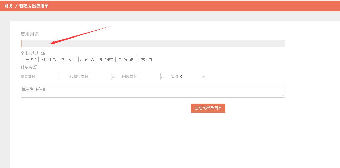 支出费用单2